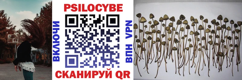 Псилоцибиновые грибы прущие грибы  Купить где  Выборг 